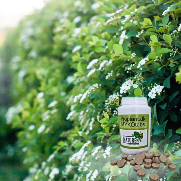 MYKOtabs til alle planter