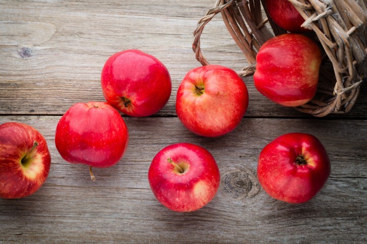 Malus dom. 'Ingrid Marie' Rød, Æble