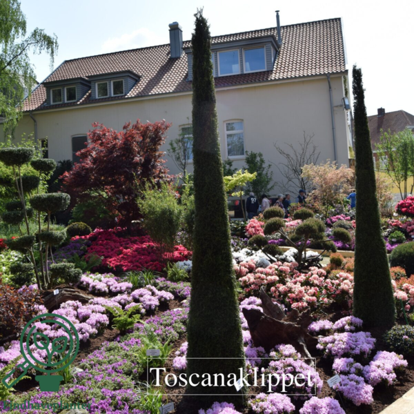 Thuja occidentalis 'Smaragd' 120-140cm
